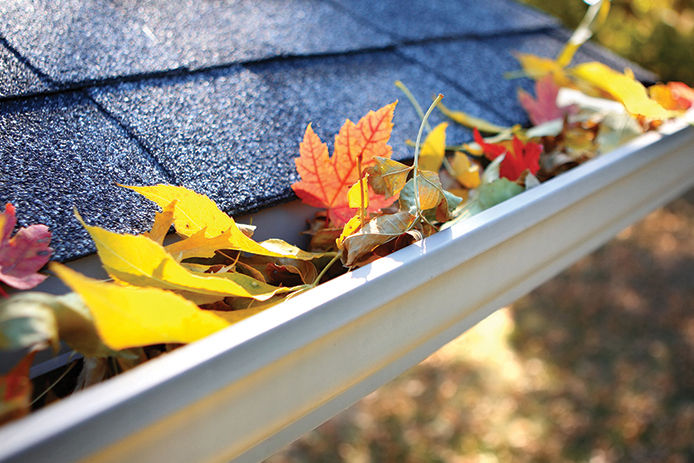 Close-up image of leaves in the roof gutters
