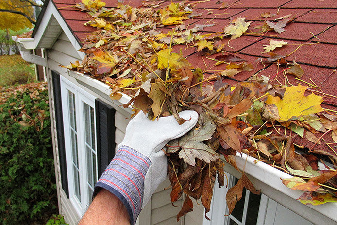 Person pickig up a handful of fallen leaves in their roof gutter while wearing work gloves