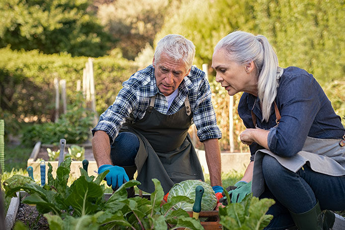 An older couple crouched looking at their plants in the garden