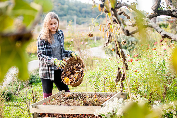 Woman dumping a basket of leaves into her compost