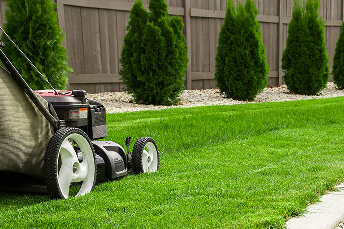 Mowing the lawn