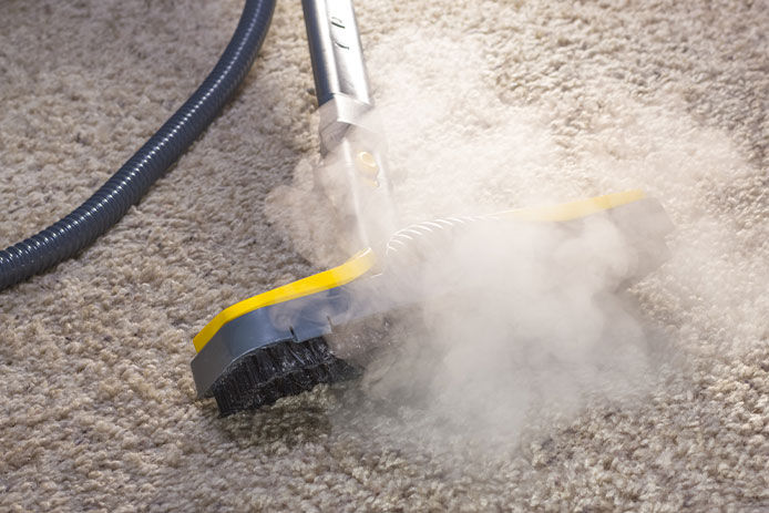 Steam cleaning the carpet, close-up