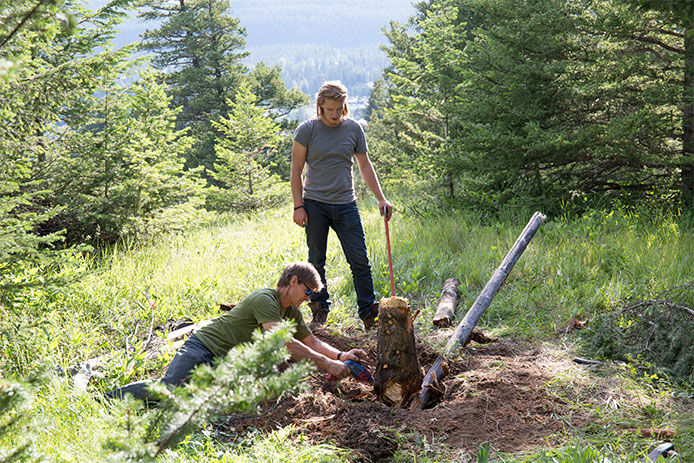 Two men dig out tree stump in forest