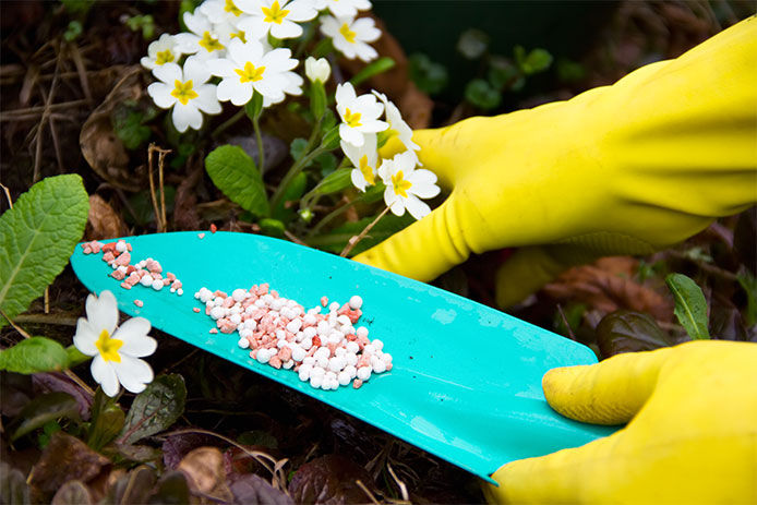 Fertilizing the flower garden using a teal spade and wearing yellow rubber gloves