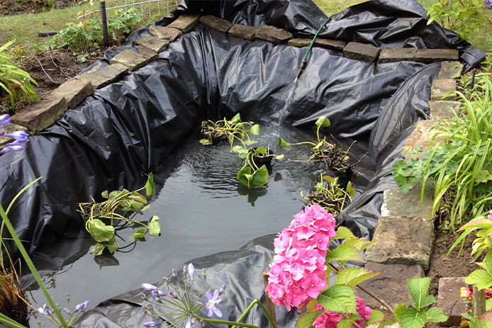 a pond in progress, with the pond liner set in place and held down with large stones. The pond is half-filled with water, creating a serene and peaceful atmosphere. Leafy vines can be seen growing in the water, with a pink flower in the foreground adding a pop of color to the image.