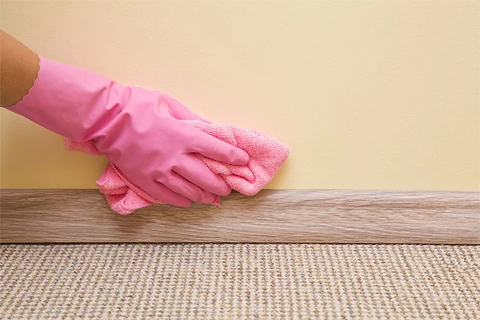Carpet Cleaner Rental