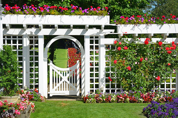 A white decorative trellis in backyard with flowers growing on them