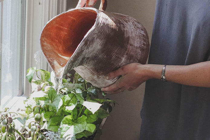 A young woman watering her window sill house plants with a copper watering pot 