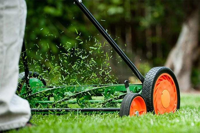 Grass clippings flying out of a lawn mower