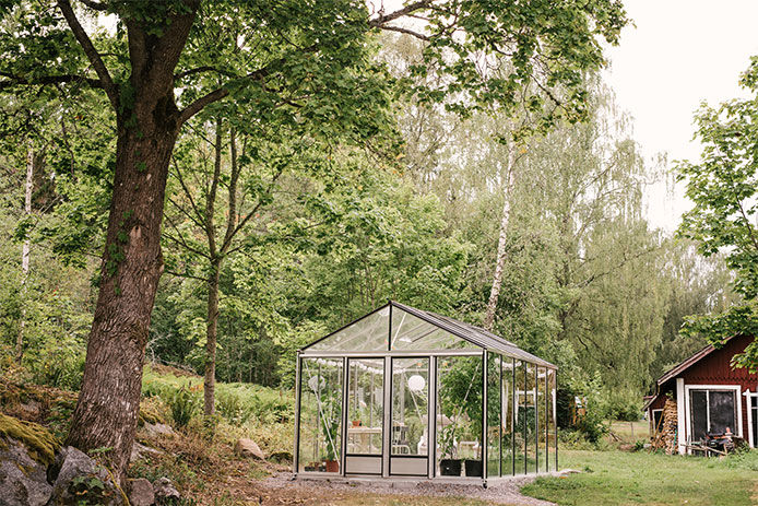 Glass greenhouse in garden Summer in garden lush green