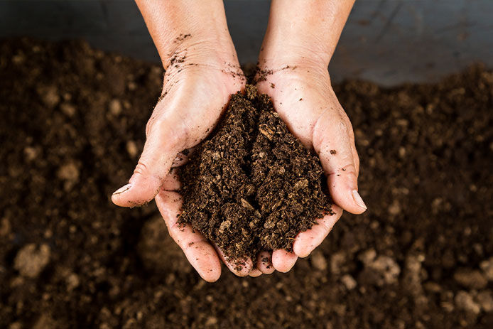 Close up hand holding soil peat moss