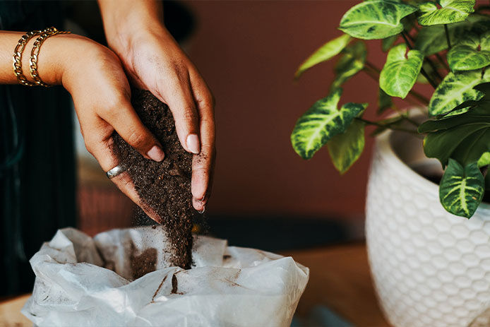 Cropped shot of an unrecognisable woman holding potting soil while gardening at home