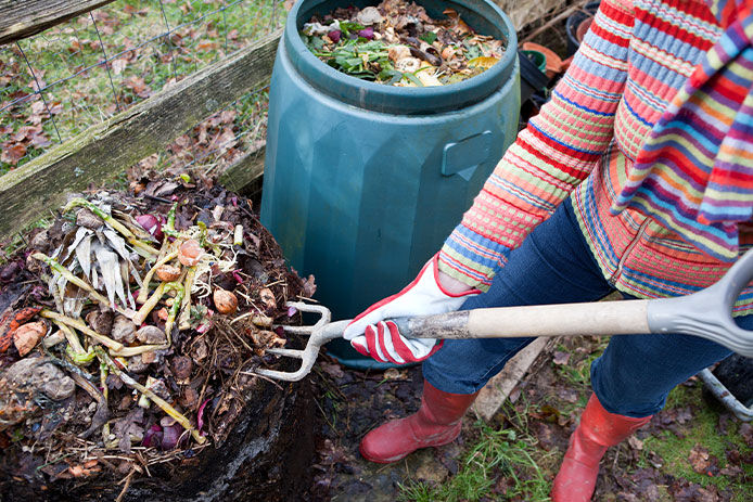 Woman gardener using garden fork to first remove uncomposted food waste from top of composting bin pile, before spreading the compost below onto a vegetable garden.