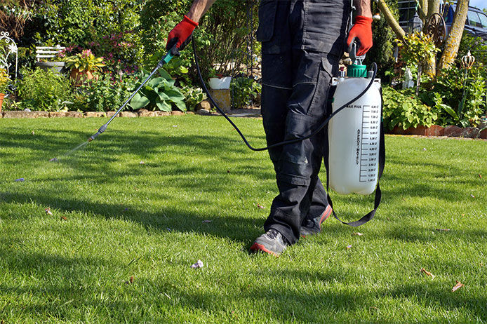 A professional landscaper spraying insecticide onto a residential lawn