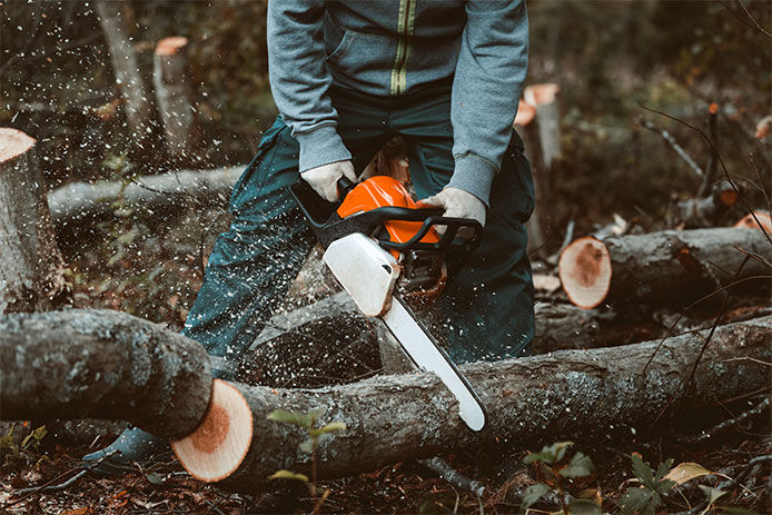 A rugged image of a professional cutting a fallen tree into pieces using a chainsaw 
