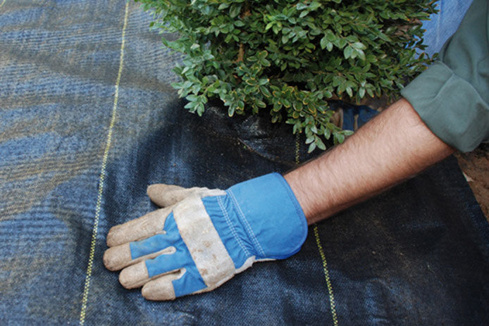 Person wearing work gloves smoothing out landscaping fabric around a small shrub