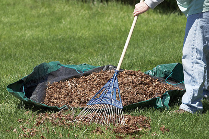 using a green tarp to collect leaves and yard debris while raking 