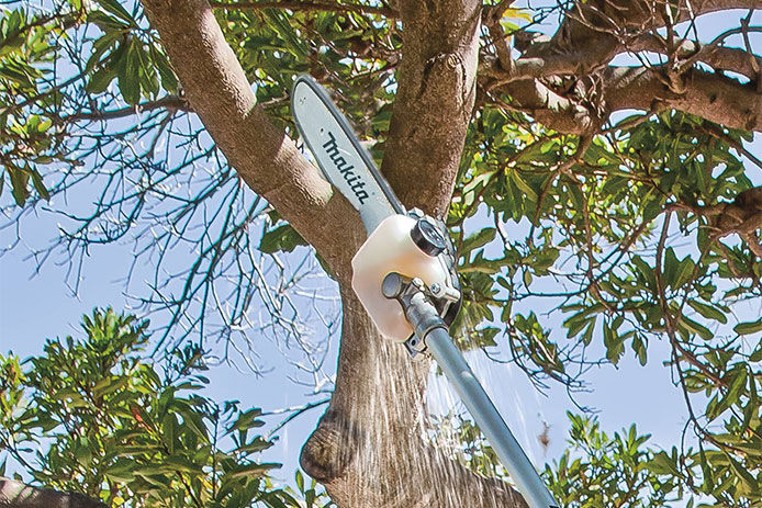 Prune Those Mature Shade Trees with the Extension Shaft and Pole Saw