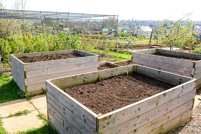 Wooden raised garden beds filled wiht soil, ready to be planted