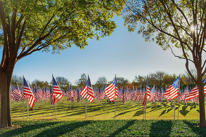 Flags in the ground