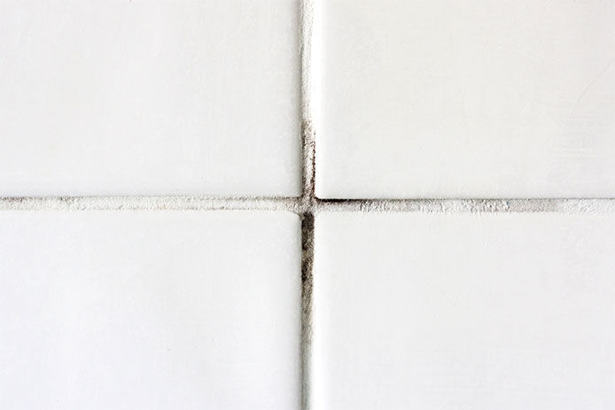 Four white subway tiles with mold and mildew growing on the grout