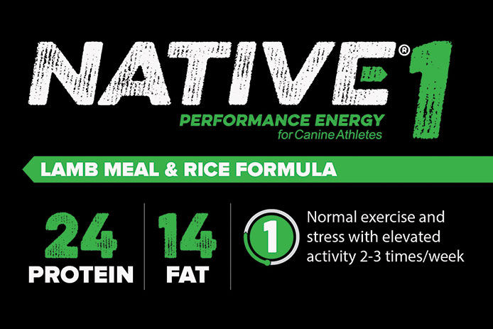 Native Performance Energy: Level 1