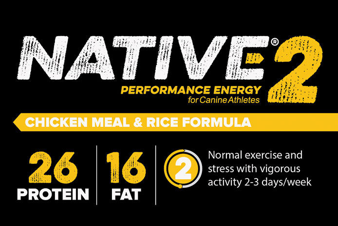 Native Performance Energy: Level 2