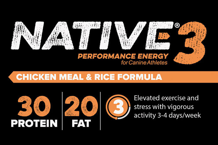 Native Performance Energy: Level 3