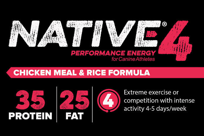 Native Performance Energy: Level 4