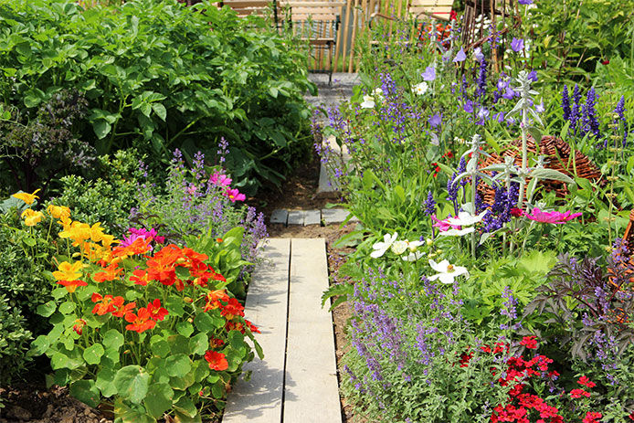 Walkway pavers in a manicured wildflower garden