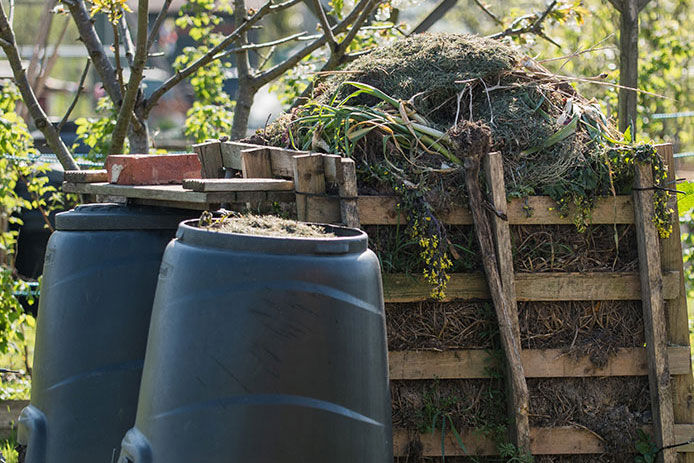 A compost bin outside made from pallets filled with grass clippings