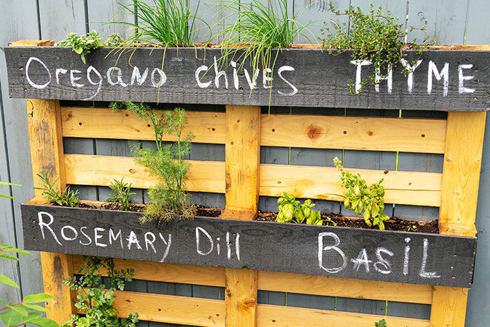 A pallet being used for vertical gardening space