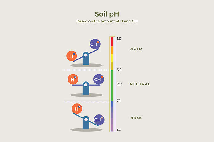 Soil ph based on amount of H and OH. Balancing of acid and base. alkaline level, acidity level for agriculture