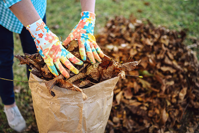 Person picking up leaves by hand and putting them into a brown bag