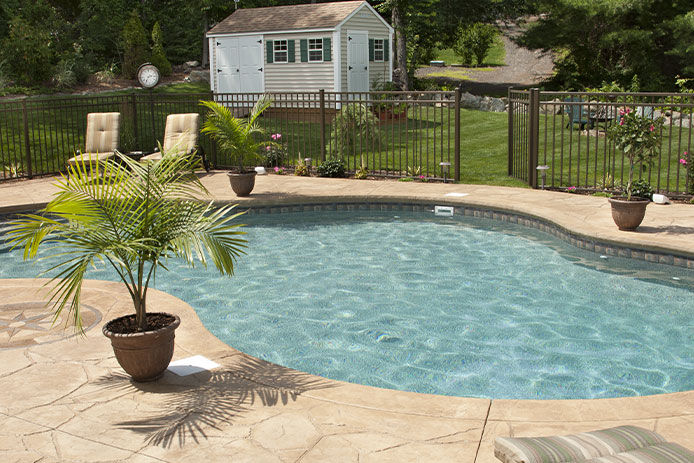 Plants around a pool area