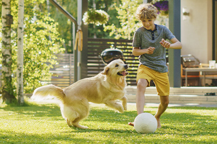 The handsome boy is wearing a grey shirt and yellow shorts while the happy golden retriever excitedly chases after the ball. The idyllic scene is a heartwarming example of the special bond between a boy and his furry best friend.