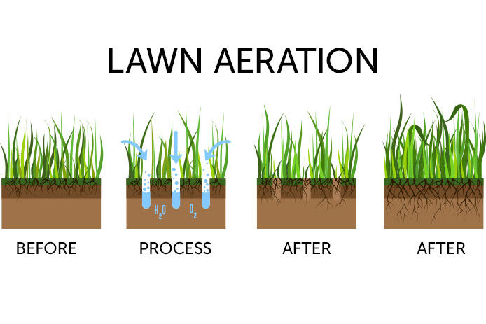 Gardening grass lawncare, landscaping, lawn grass care service. Illustration for article, infographics or instruction. Stock vector