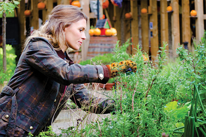 Woman wearing gardening gloves pruning back her perennial beds