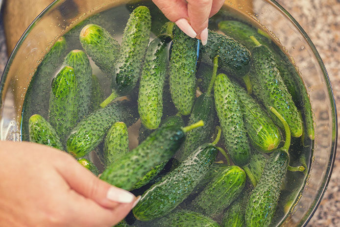 Young woman cleaning and washing fresh organic cucumbers and preparing them for preserving in a jars at home