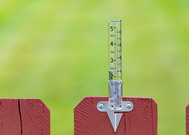 Closeup of rain gauge with rainwater, Concept of weather, rain, drought, flooding and precipitation