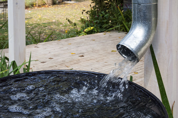 A downspout draining into a rain barrel