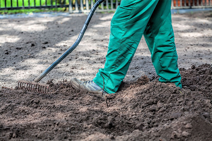 Person wearing green pants using a gardening rake to work up the soil