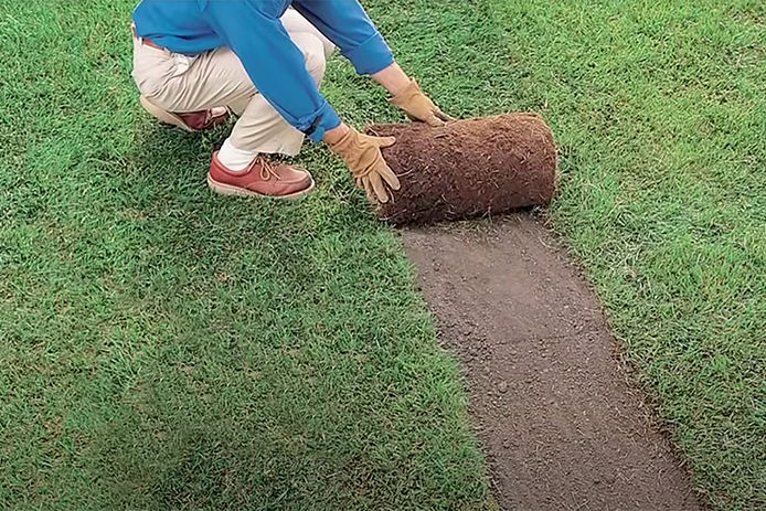 A man wearing a blue shirt and khaki pants remove sod from his yard to build a walkway