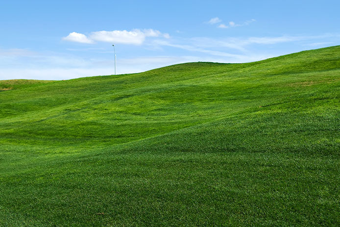 Hilly grassy area