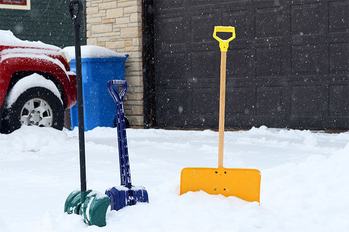Snow shovels standing upright stuck in snow in driveway