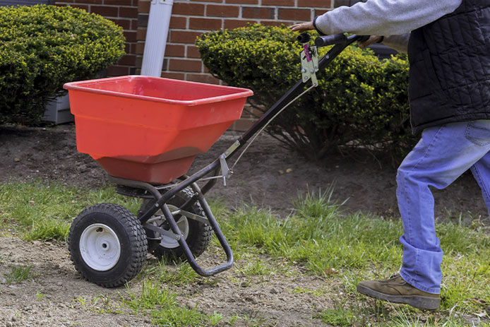 Man pushing a red lawn fertilizer spreader over patchy grass