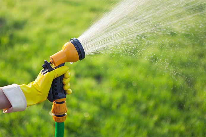 A close up of a person holding a nozzle sprayer attached to a garden hose watering the lawn