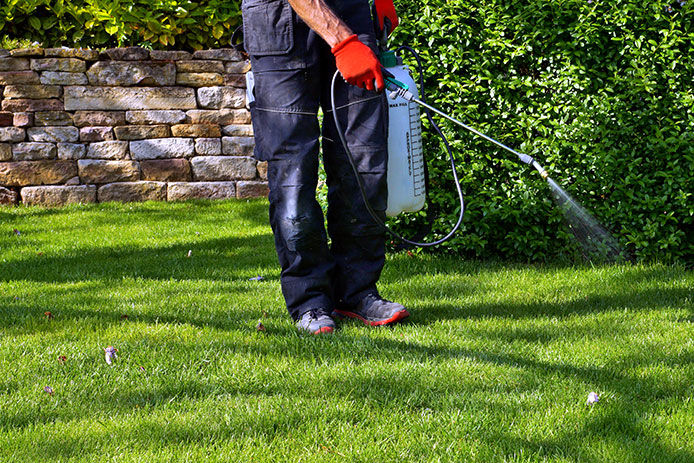 Person spraying the grass for ticks and fleas