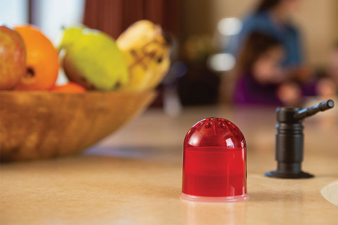 A store bought gnat trap by a bowl of fruits in a kitchen