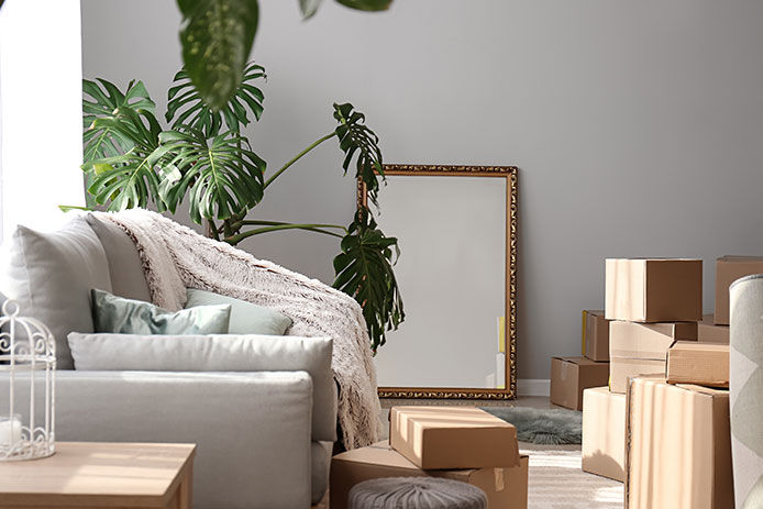 A room filled with boxes and various items